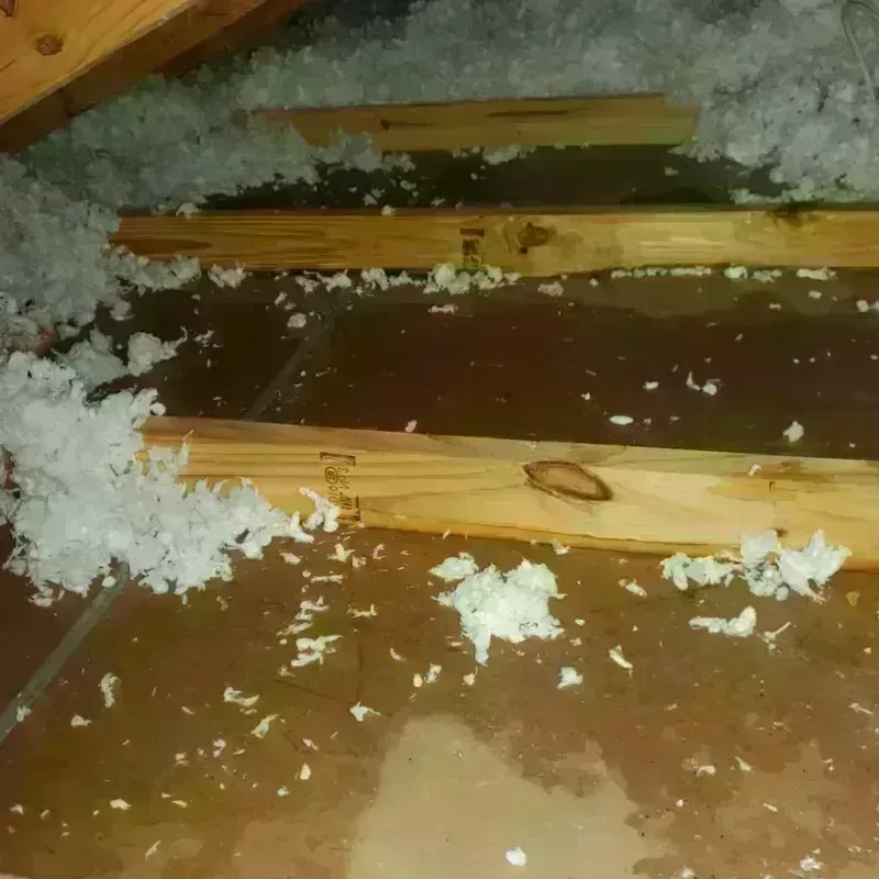 Attic Water Damage in Sullivan County, MO