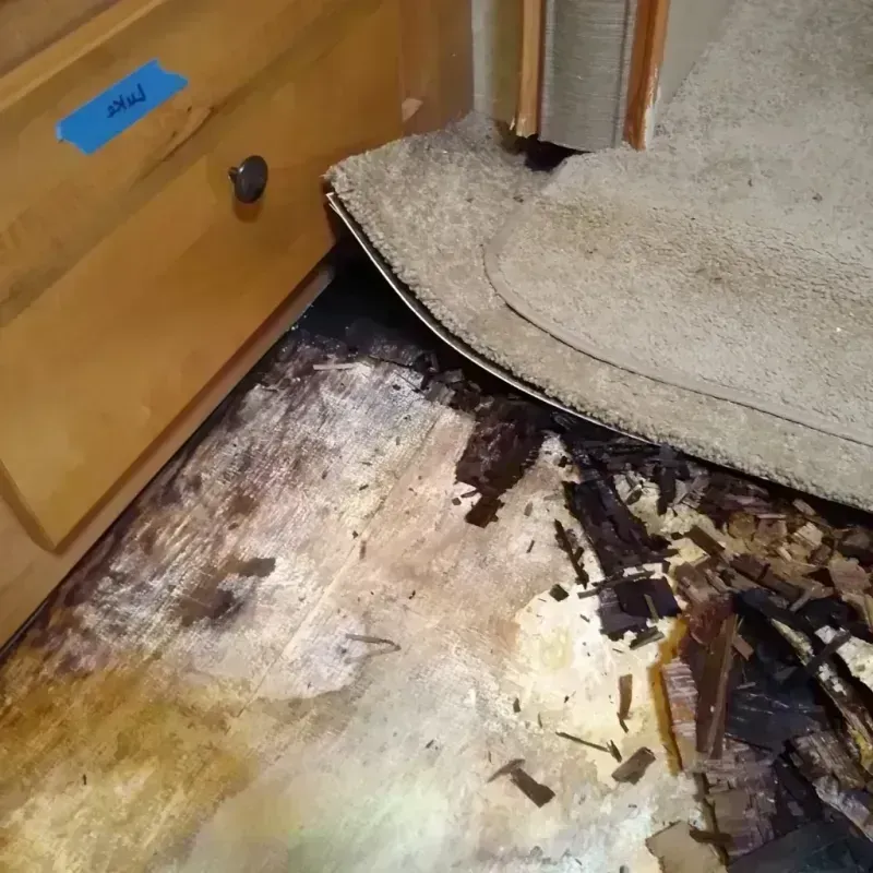 Wood Floor Water Damage in Sullivan County, MO